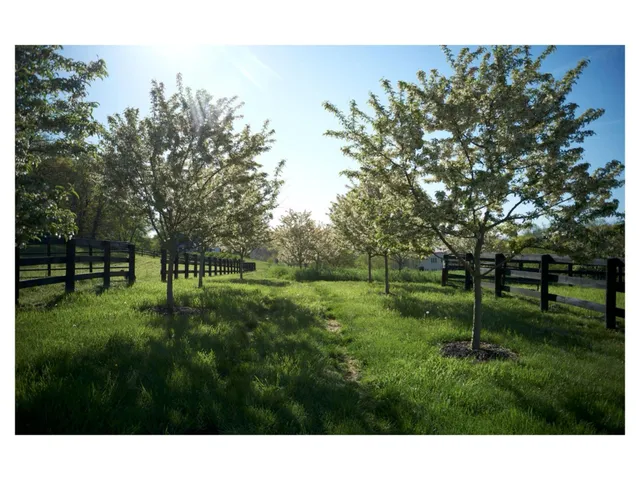 a view of a green field
