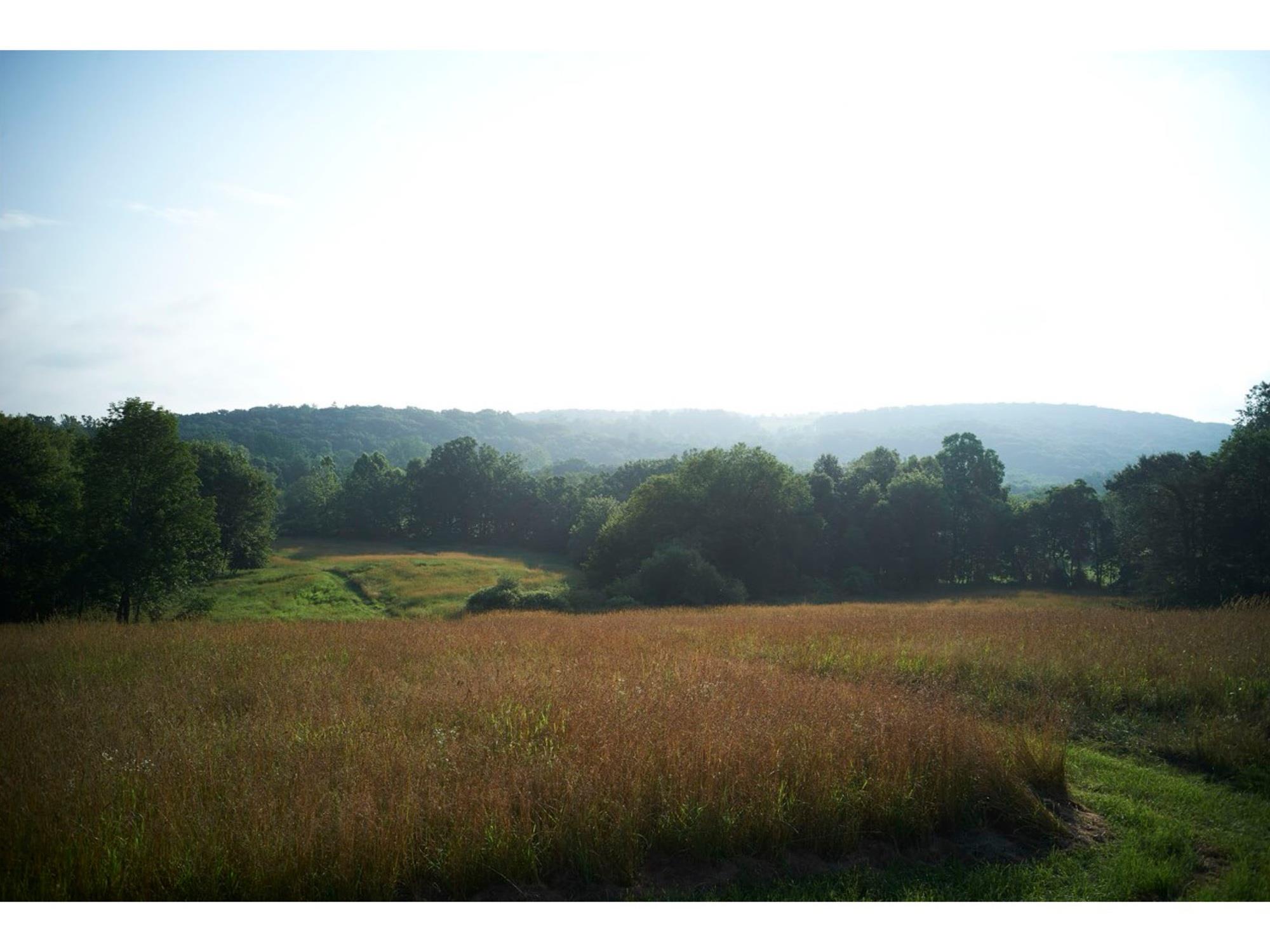 461 Silvernails Road Pine Plains, NY 12567 - Photo 34 of 35 Meadow