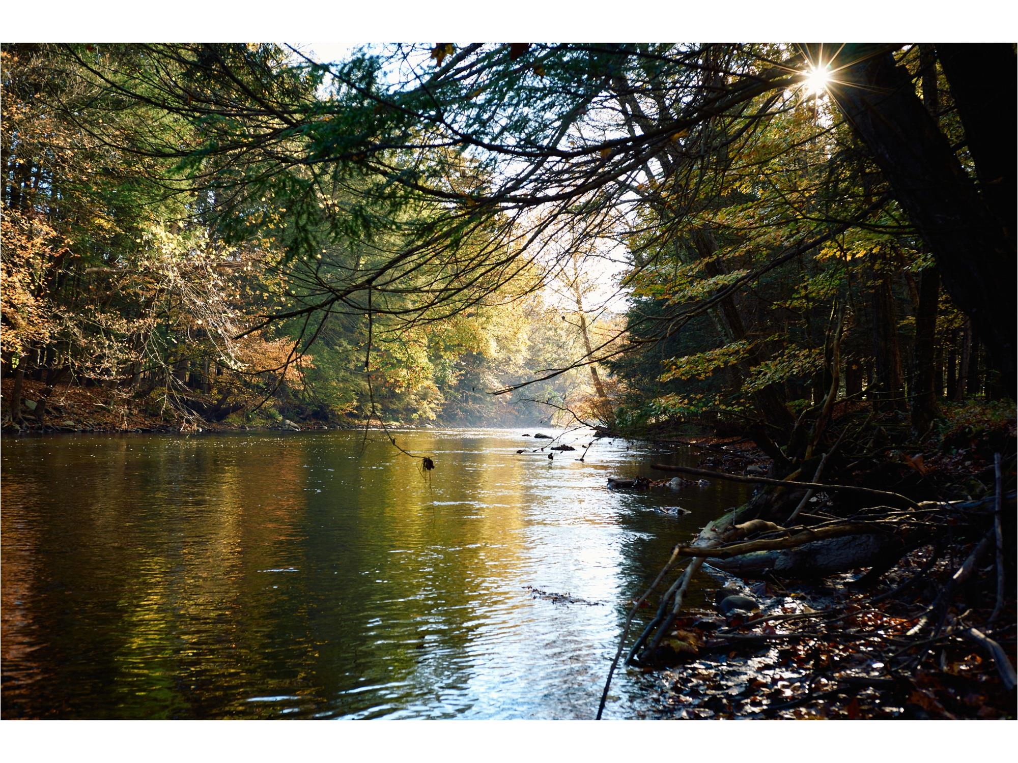 461 Silvernails Road Pine Plains, NY 12567 - Photo 7 of 35 Roe Jan Kill and Shekomeko Creek