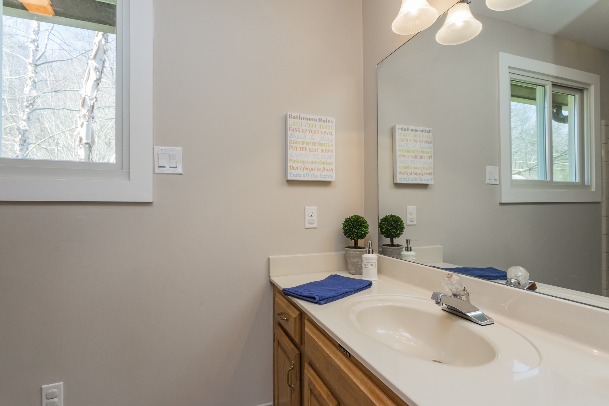 804 High Point Ridge Road Franklin, TN 37069 - Photo 34 of 50 a bathroom with a sink and a mirror