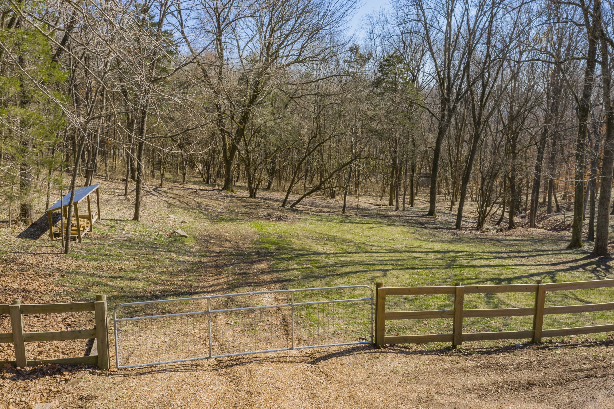 804 High Point Ridge Road Franklin, TN 37069 - Photo 49 of 50 a view of yard with tree