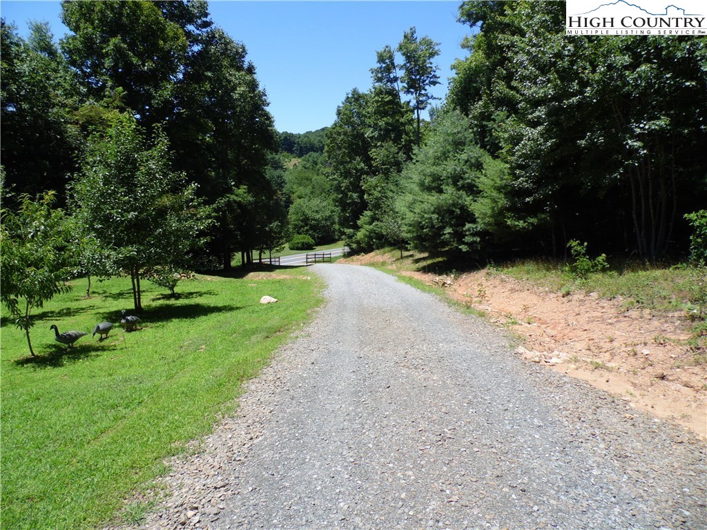144 Pleasant Home Road Sparta, NC 28675 - Photo 3 of 39 Gallery Image 3