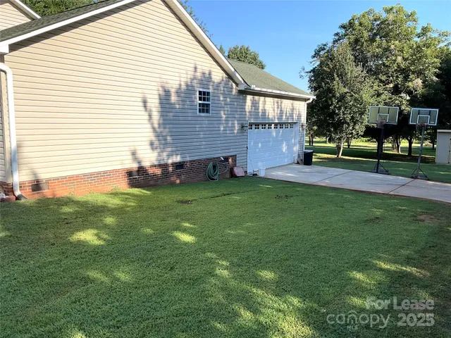 a view of a tree in a yard