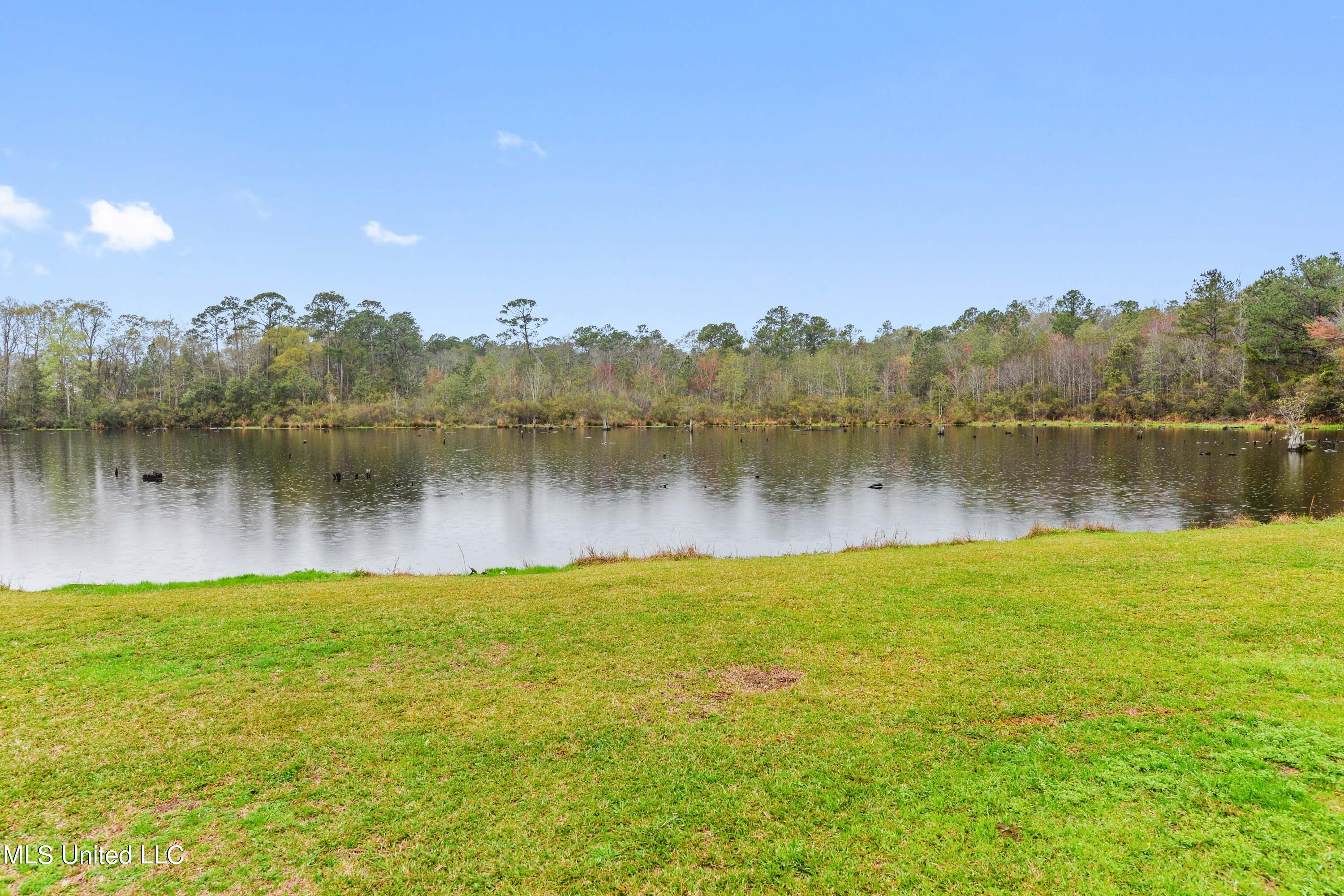 131 Partins Road Lucedale, MS 39452 - Photo 23 of 31 023 (1)