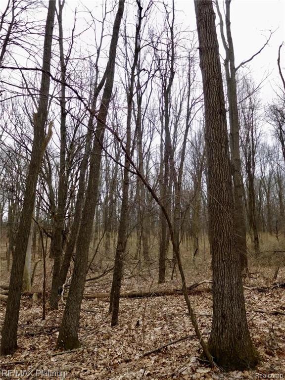 0 West Buno Road Milford, MI 48381 - Photo 23 of 28
