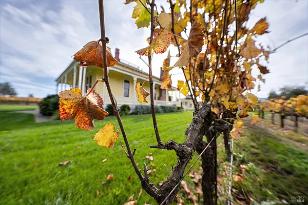 $7,995,000 | 6614 Lakeville Highway, Petaluma, CA 94954