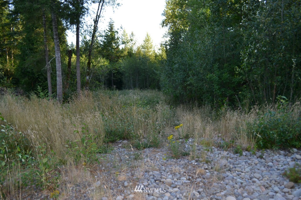 15013 Maple Ridge Lane Southeast Yelm, WA 98597 - Photo 1 of 19 Gallery Image 1