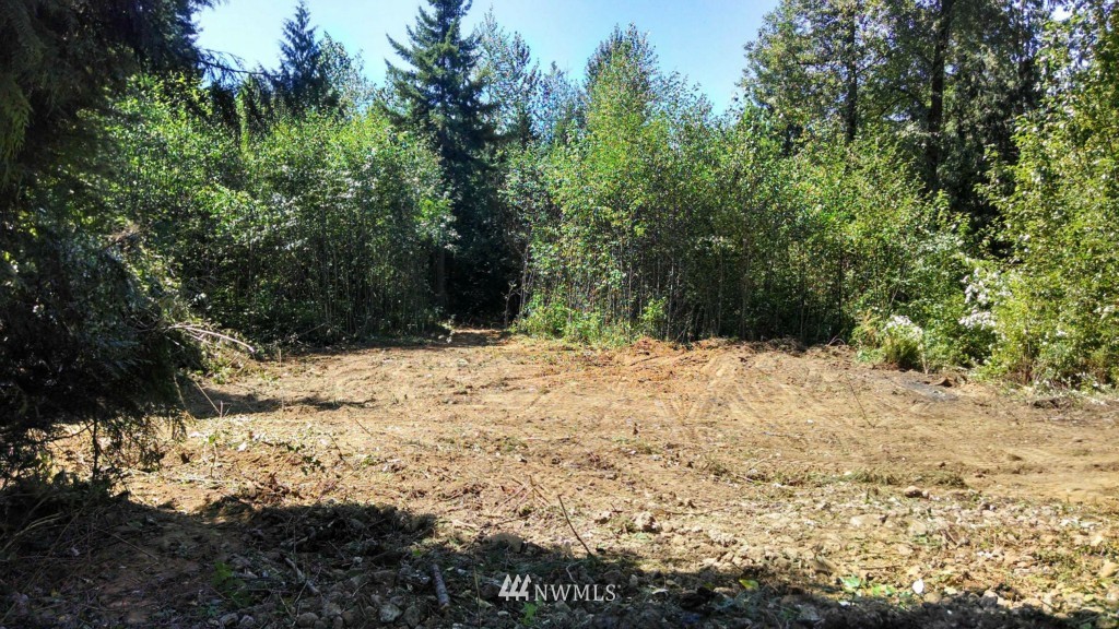 15013 Maple Ridge Lane Southeast Yelm, WA 98597 - Photo 9 of 19 Gallery Image 9