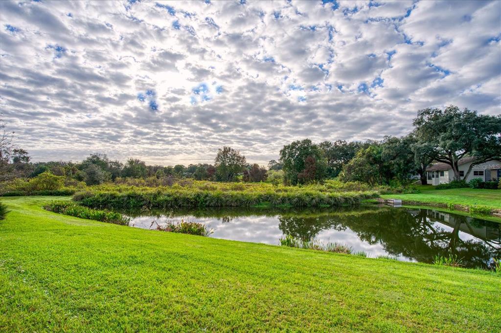 3428 Stirling Road Palm Harbor, FL 34684 - Photo 1 of 1 The pond and conservation view you've been waiting for?