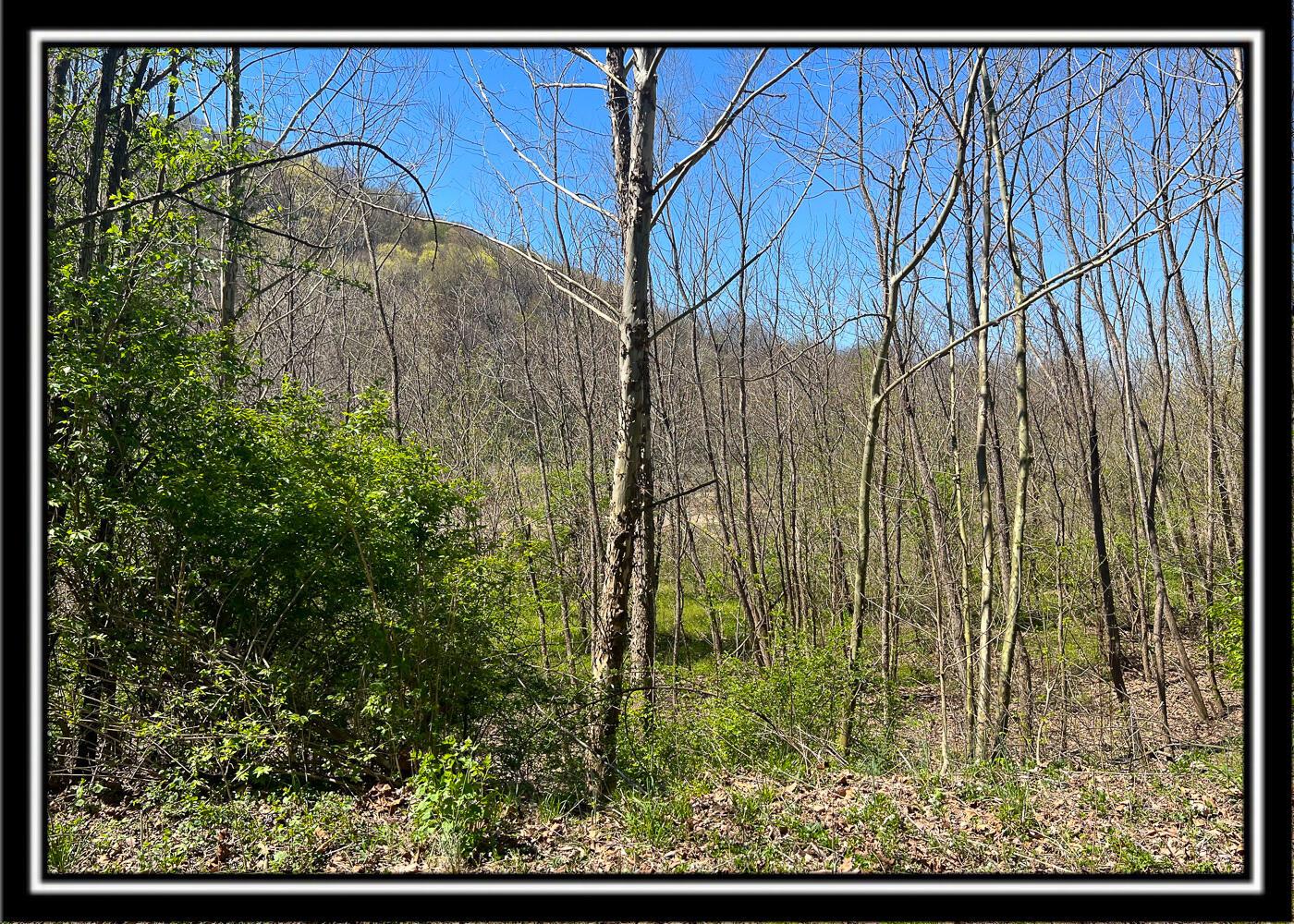0 North Musselman Station Road Frankfort, OH 45628 - Photo 28 of 51 CT-28