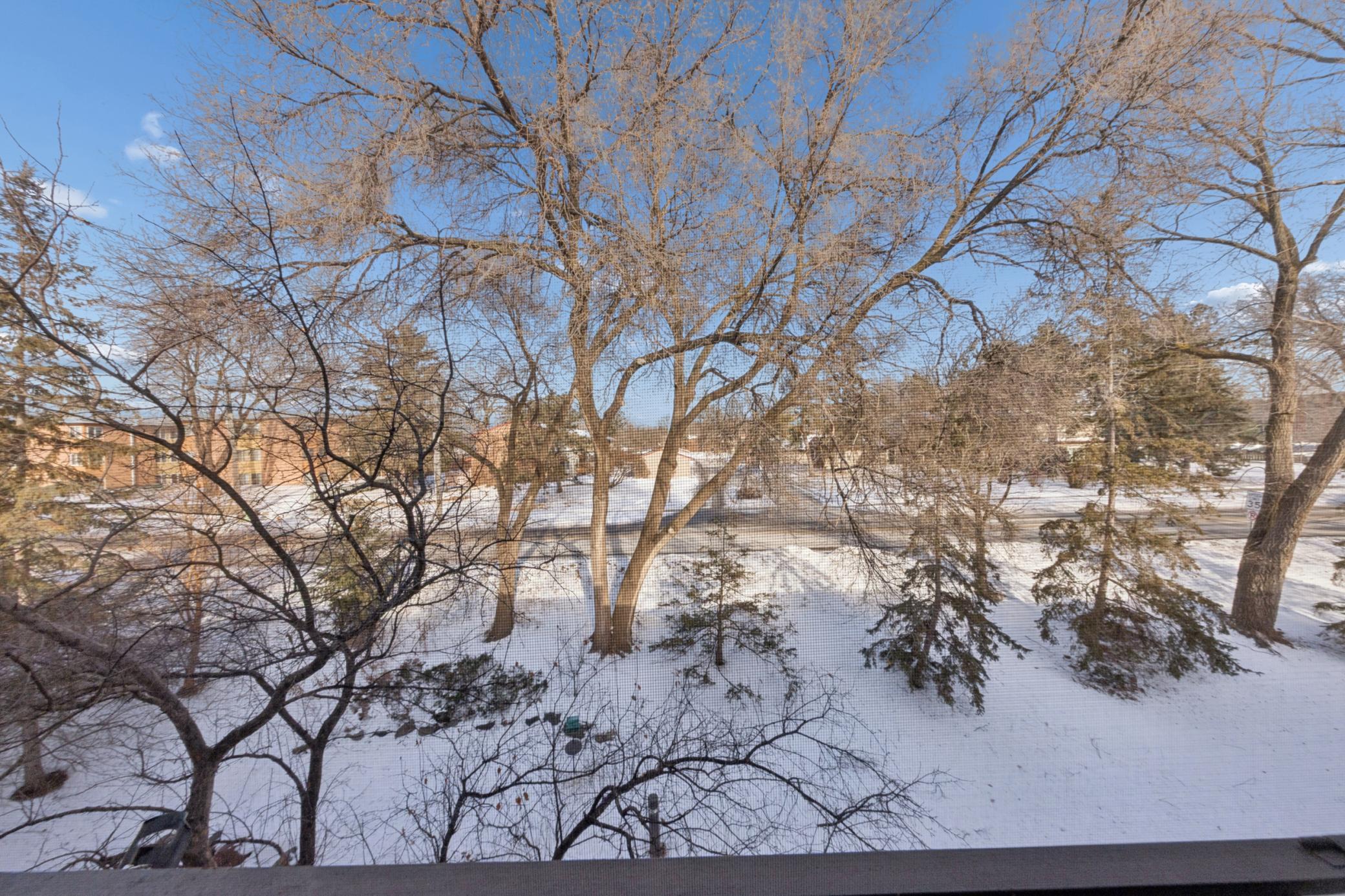 10 Windsor Court, Unit 311 New Brighton, MN 55112 - Photo 24 of 25