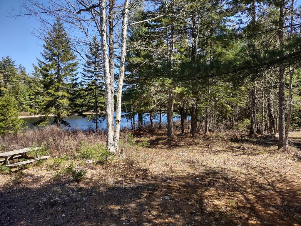 61 Myrick Pond Road Cherryfield, ME 04622 - Photo 10 of 15 IMG_20220502_134920360_HDR