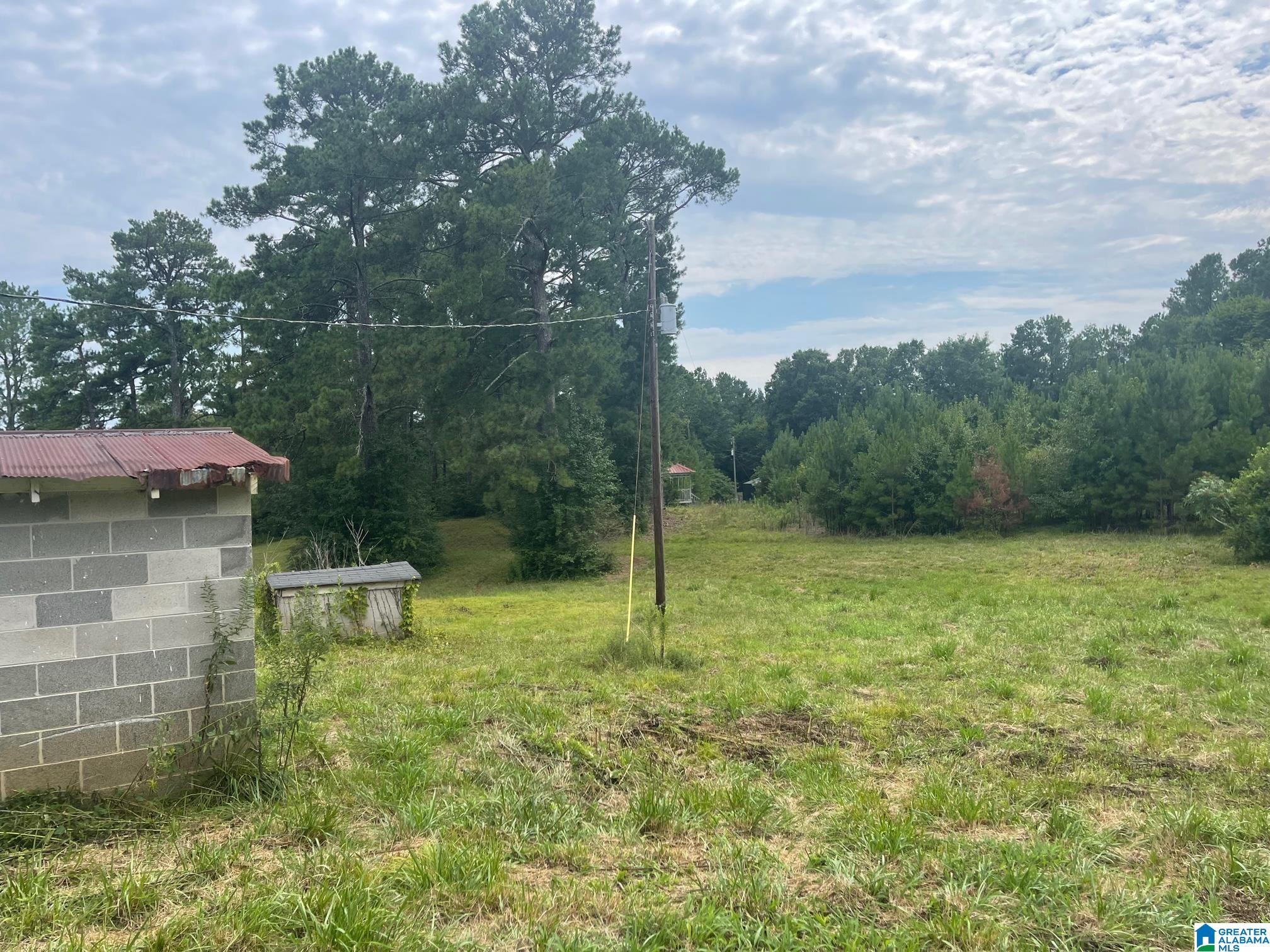 190 Silver Loop Road Columbiana, AL 35051 - Photo 13 of 21