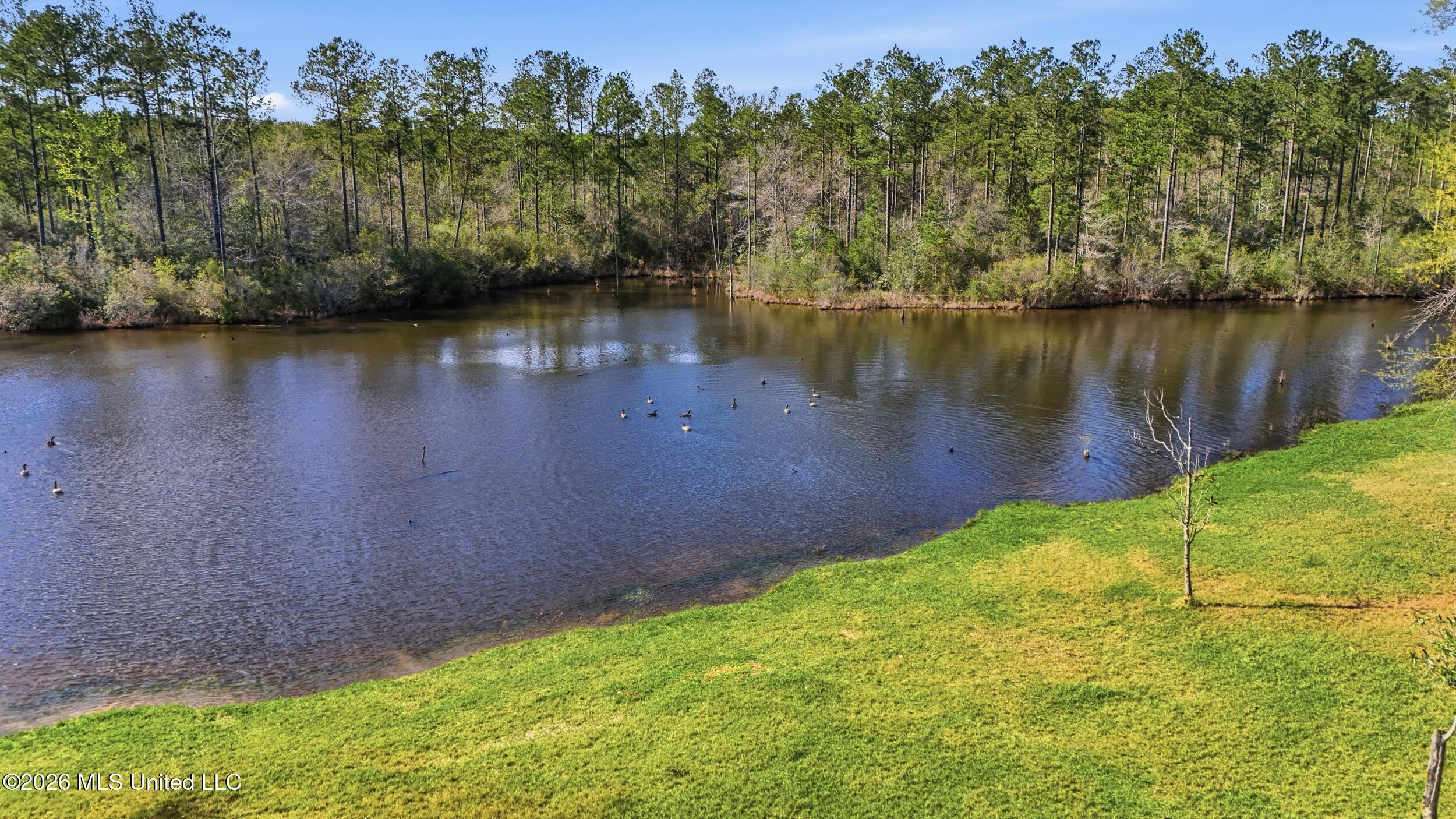 24203 Bilbo Road Vancleave, MS 39565 - Photo 31 of 37 95_135_dji_20260316155714_0469_d