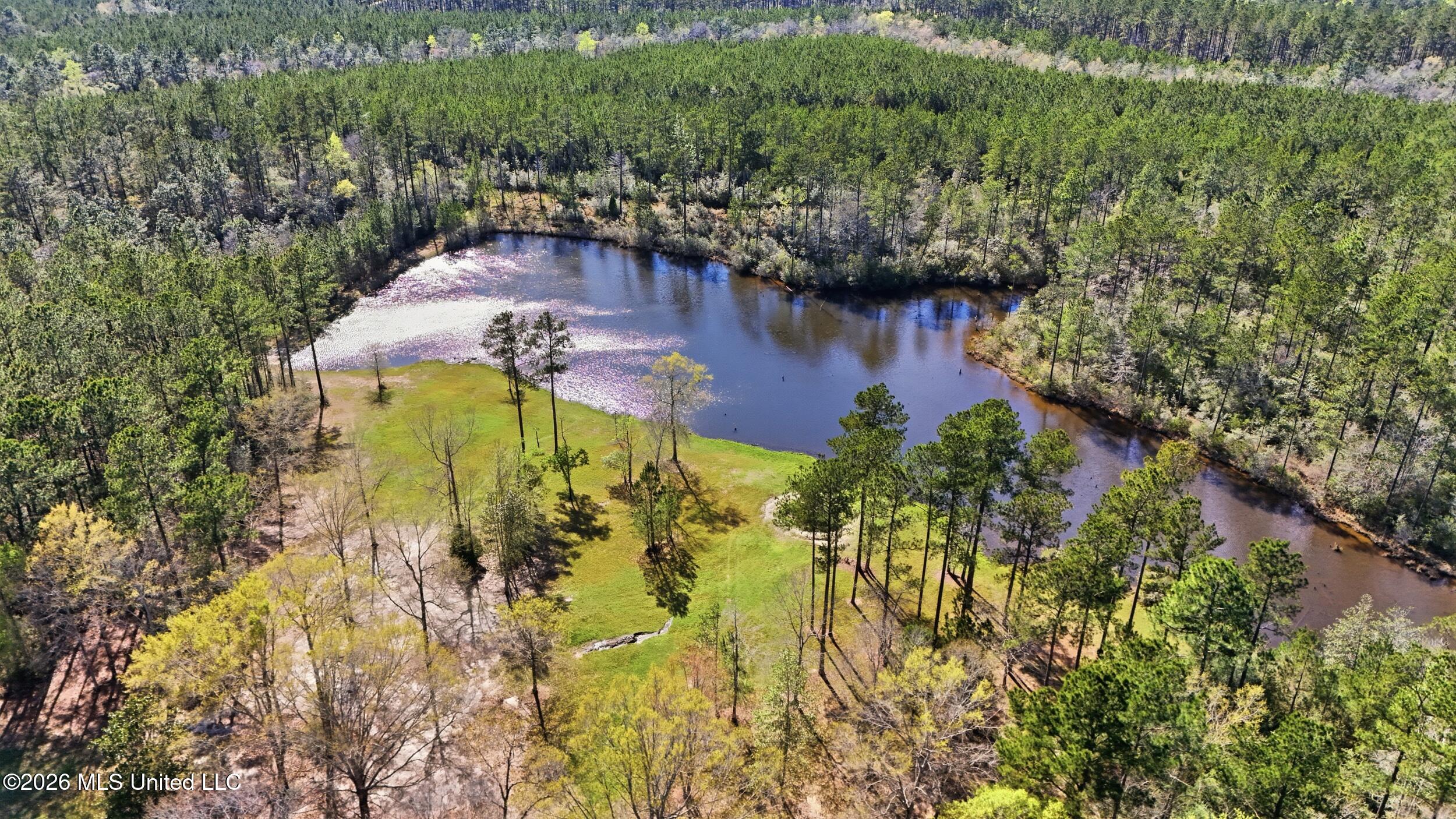 24203 Bilbo Road Vancleave, MS 39565 - Photo 32 of 37 93_133_dji_20260316155625_0463_d