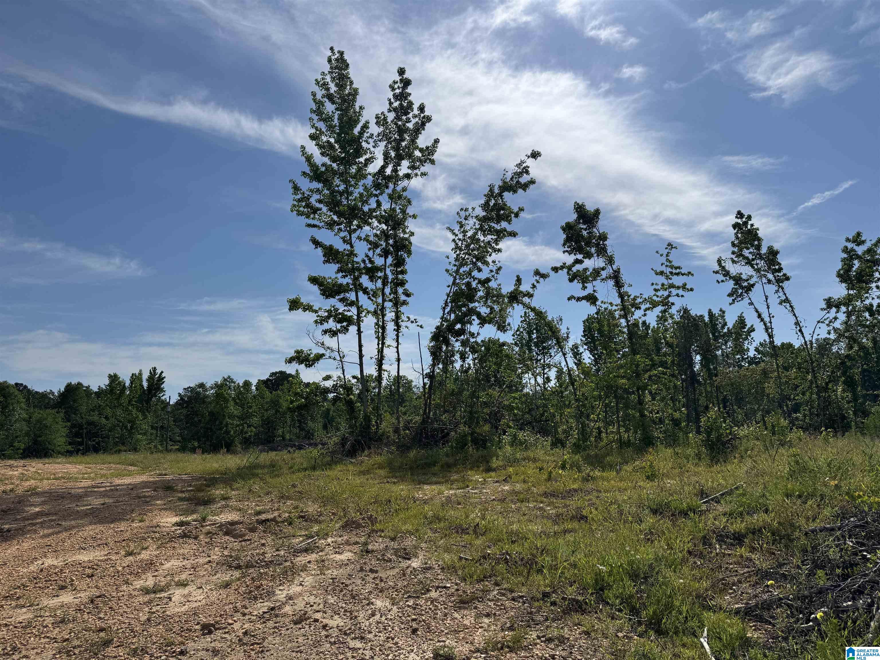Active Road, Unit 5 Lawley, AL 36793 - Photo 12 of 38