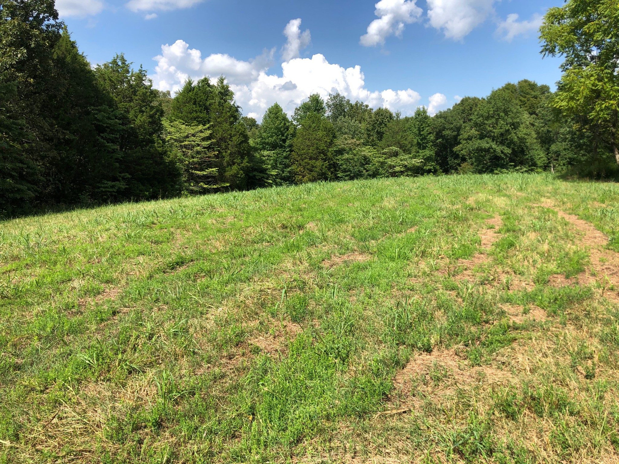 3567 Shiloh Canaan Road Palmyra, TN 37142 - Photo 1 of 8 Gallery Image 1