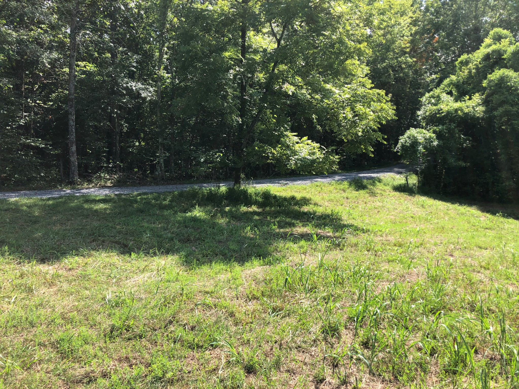 3567 Shiloh Canaan Road Palmyra, TN 37142 - Photo 4 of 8 Gallery Image 4