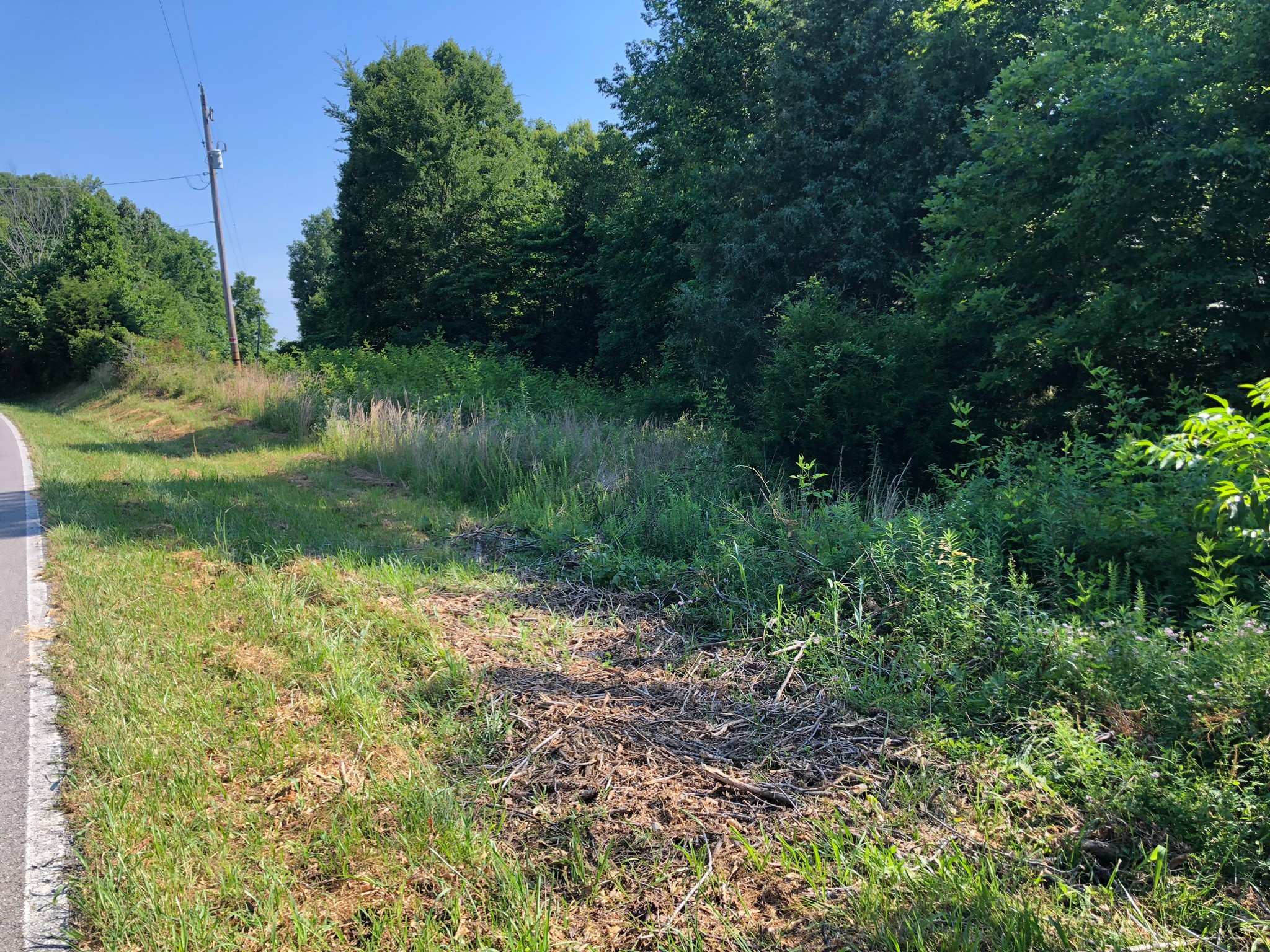 3567 Shiloh Canaan Road Palmyra, TN 37142 - Photo 7 of 8 Gallery Image 7