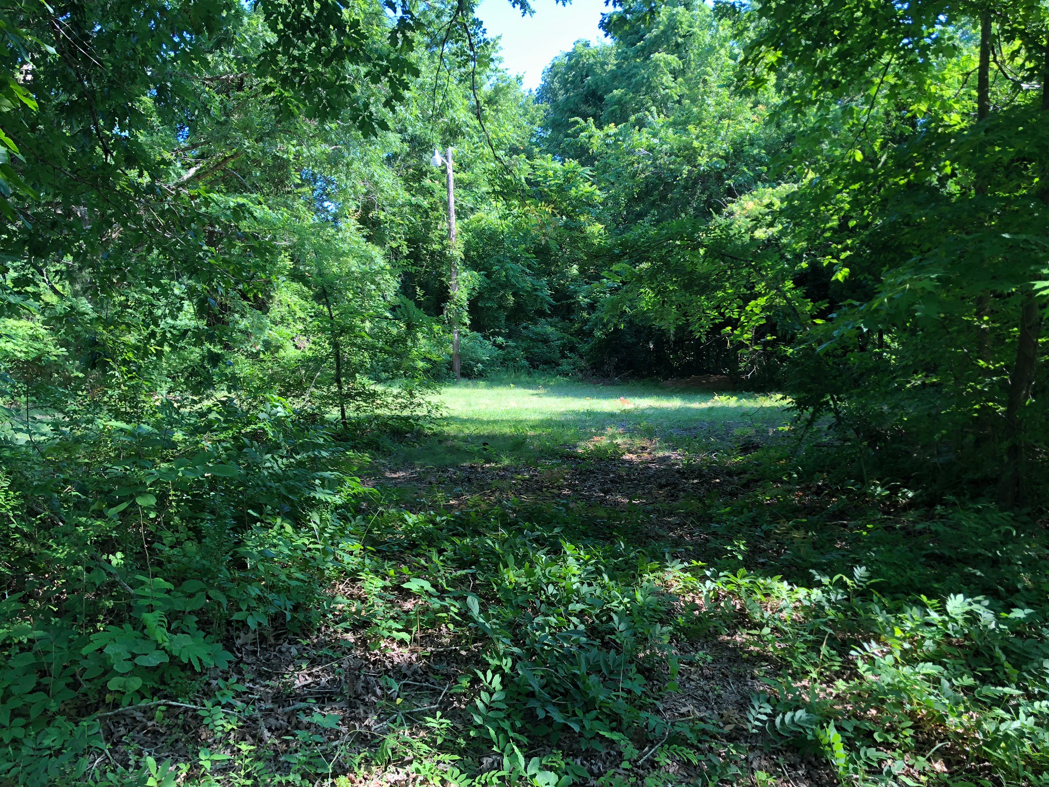 3567 Shiloh Canaan Road Palmyra, TN 37142 - Photo 8 of 8 Gallery Image 8
