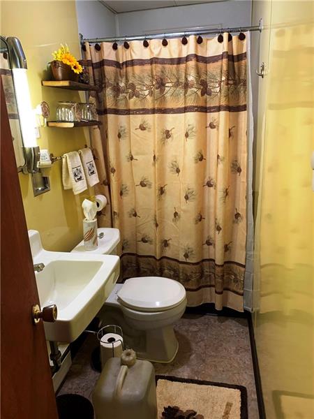 466 Powder Mill Road Rector, PA 15677 - Photo 11 of 25 Full bath has walk-in shower.