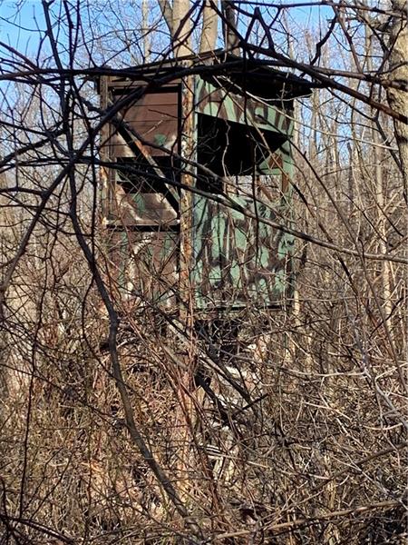 466 Powder Mill Road Rector, PA 15677 - Photo 25 of 25 tree stand at back end of property - very usable