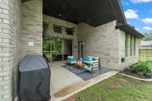 a view of a park with a tree