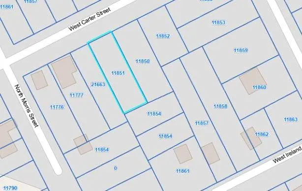 a view of a forest with trees in the background