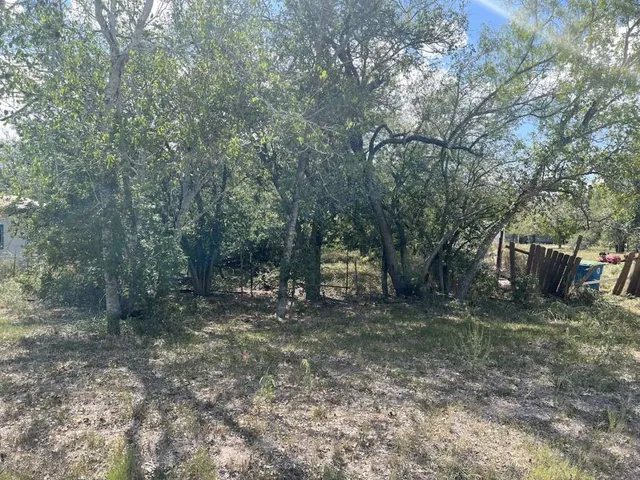 a view of a large tree in front of a house