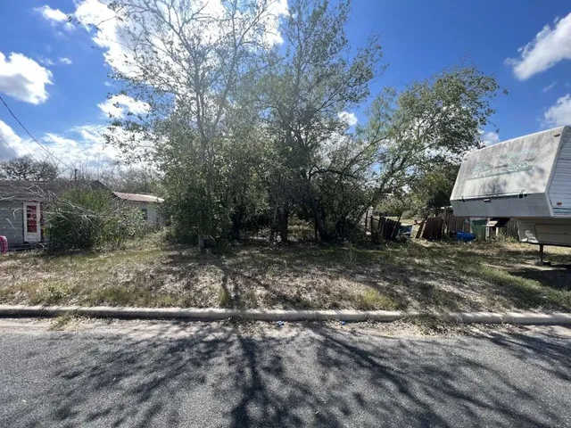 a view of a yard with a tree