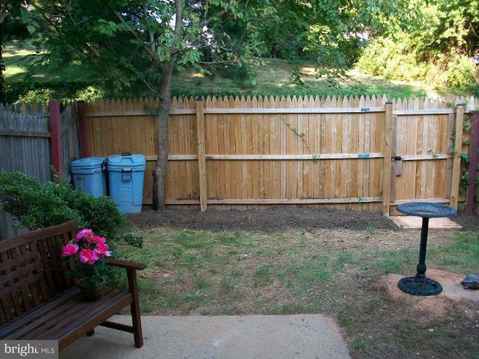 Back yard