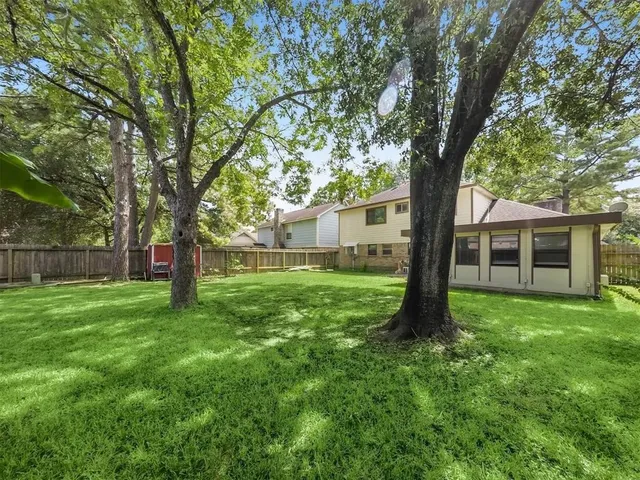 a tree in the grass next to a tree