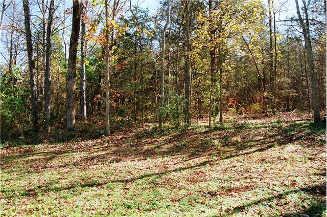 3244 Hunters Point Pike Lebanon, TN 37087 - Photo 16 of 17 Gallery Image 16