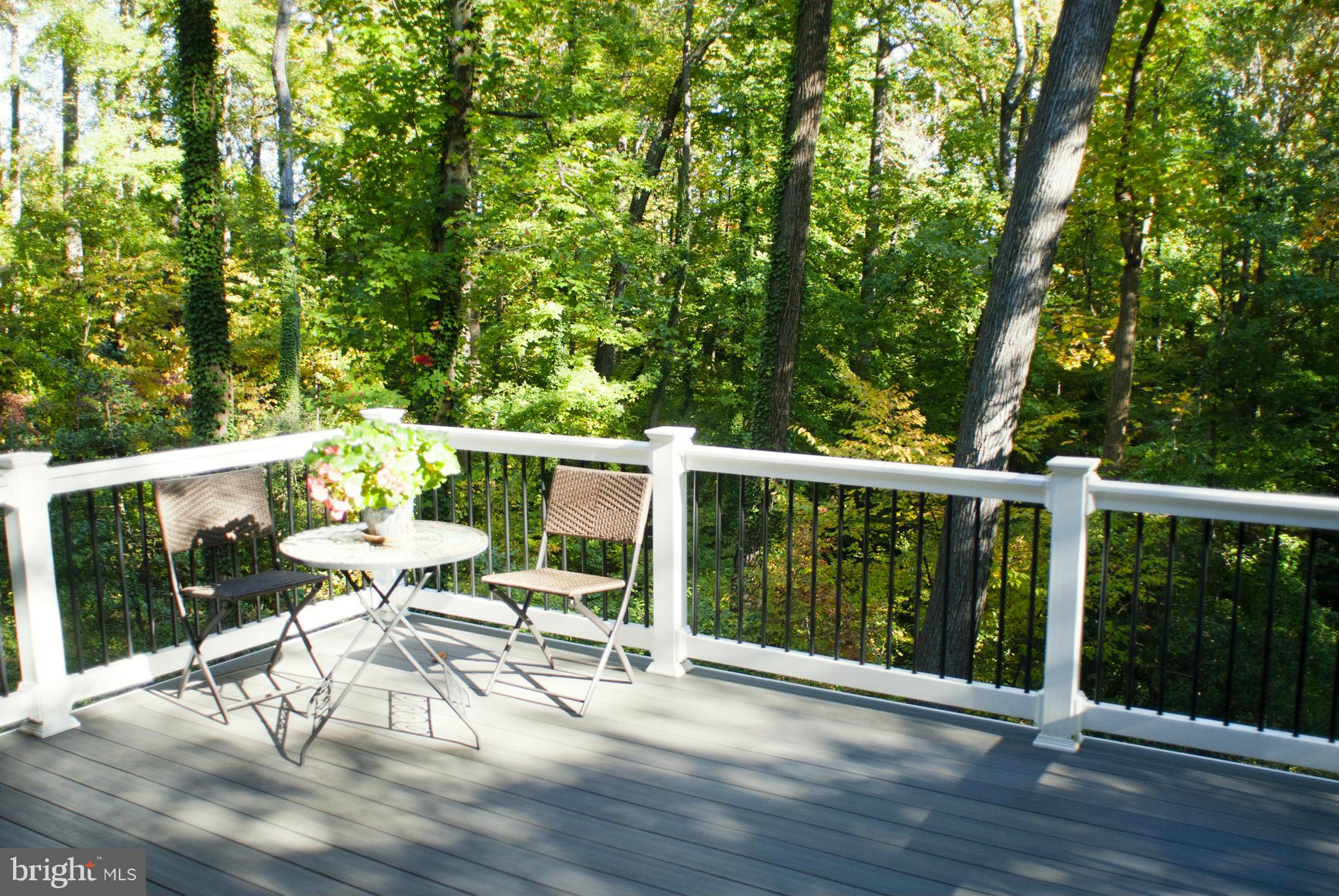 538 Kendall Road Crownsville, MD 21032 - Photo 23 of 30 Trex Deck with Gorgeous Wooded Views