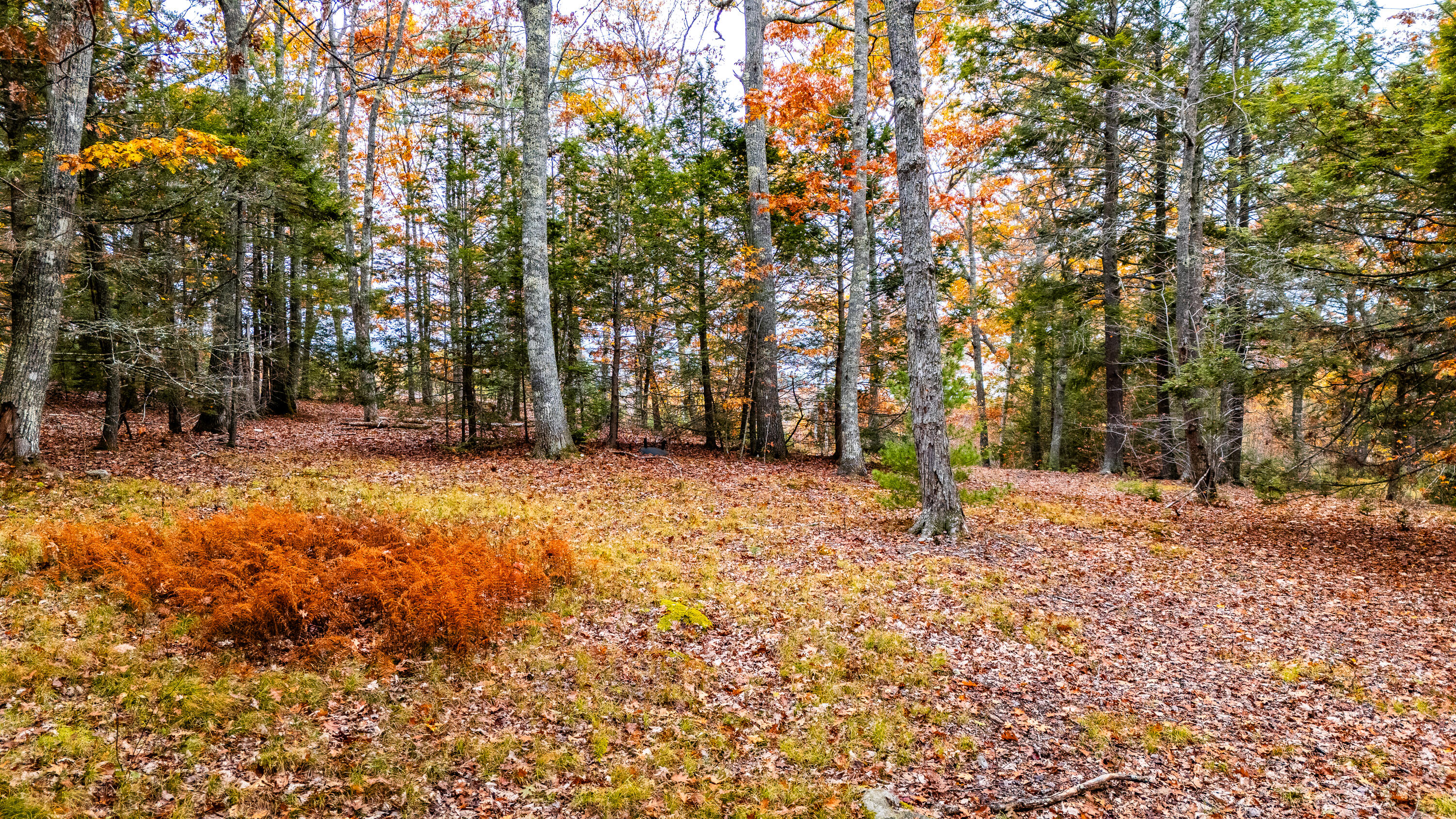 Lot#4 Bay View Trail Edgecomb, ME 04556 - Photo 19 of 48 Bay View Trail Edgecomb 019