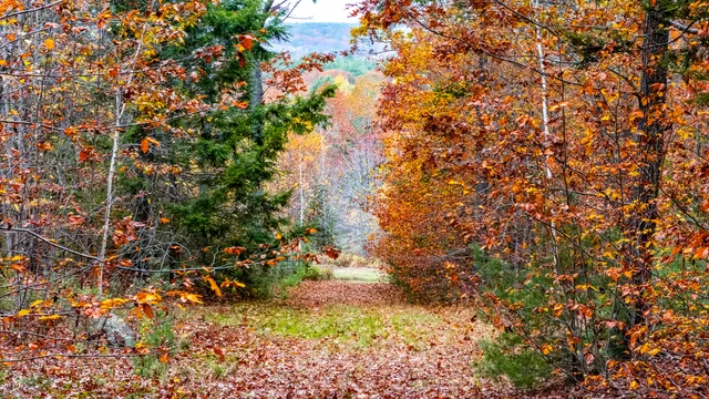 $280,000 | Lot#4 Bay View Trail, Edgecomb, ME 04556