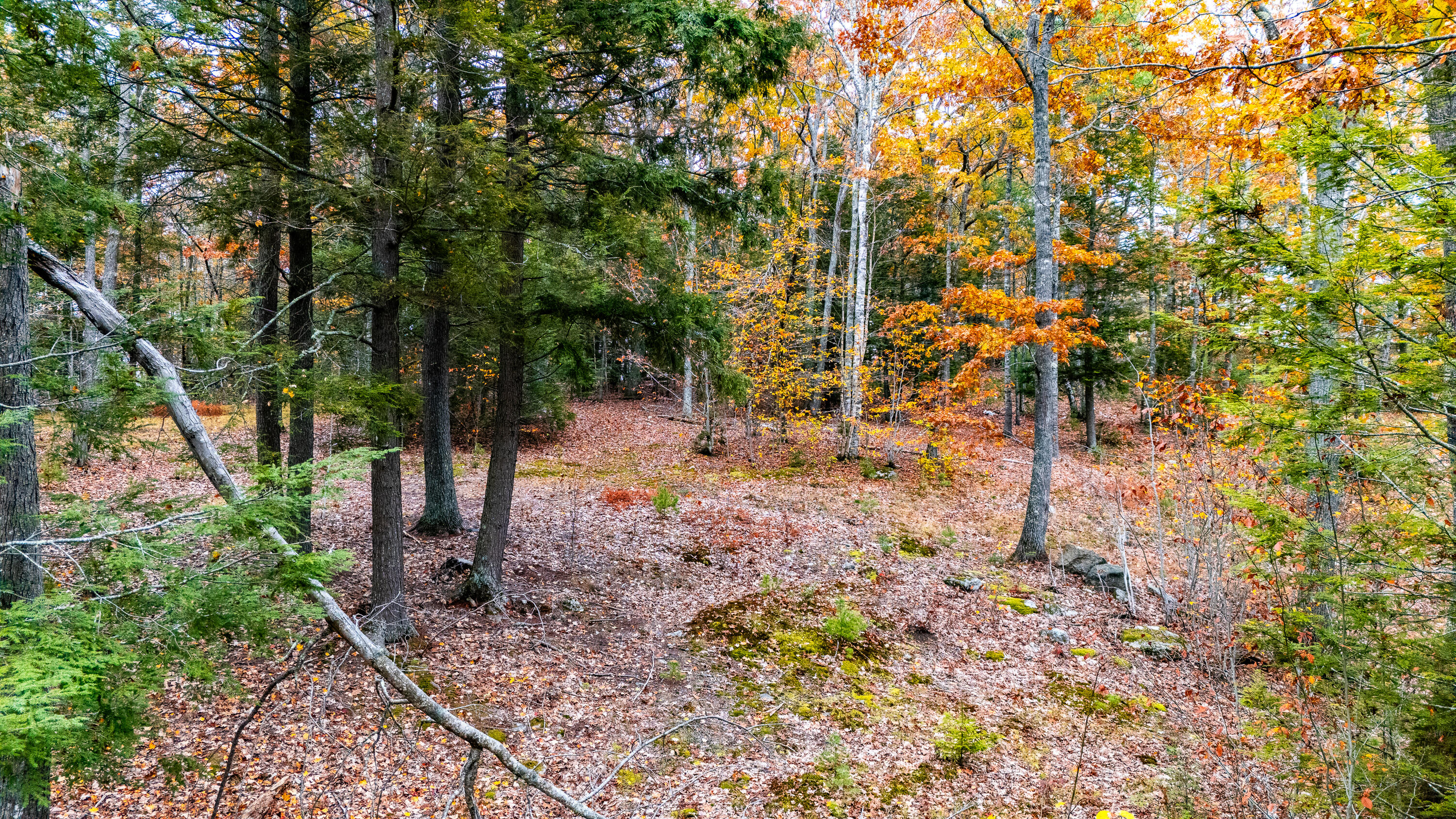 Lot#4 Bay View Trail Edgecomb, ME 04556 - Photo 26 of 48 Bay View Trail Edgecomb 026