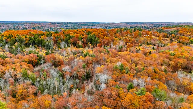 $280,000 | Lot#4 Bay View Trail, Edgecomb, ME 04556