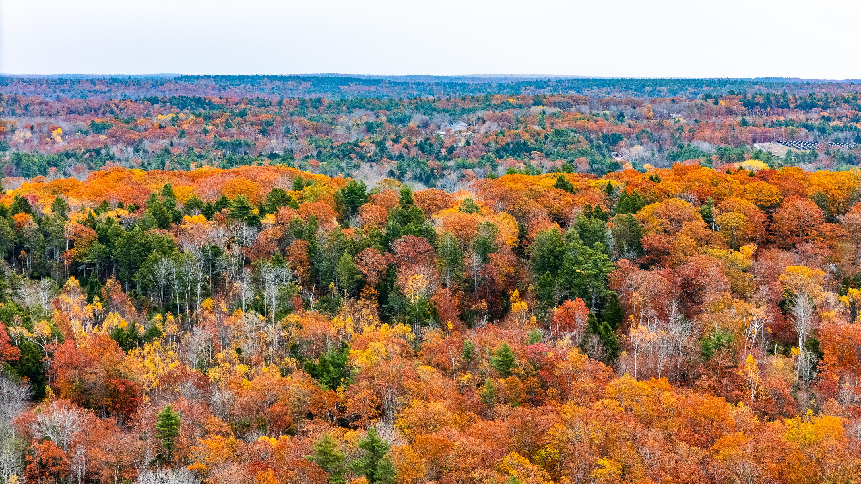 Lot#4 Bay View Trail Edgecomb, ME 04556 - Photo 38 of 48 Bay View Trail Edgecomb 038