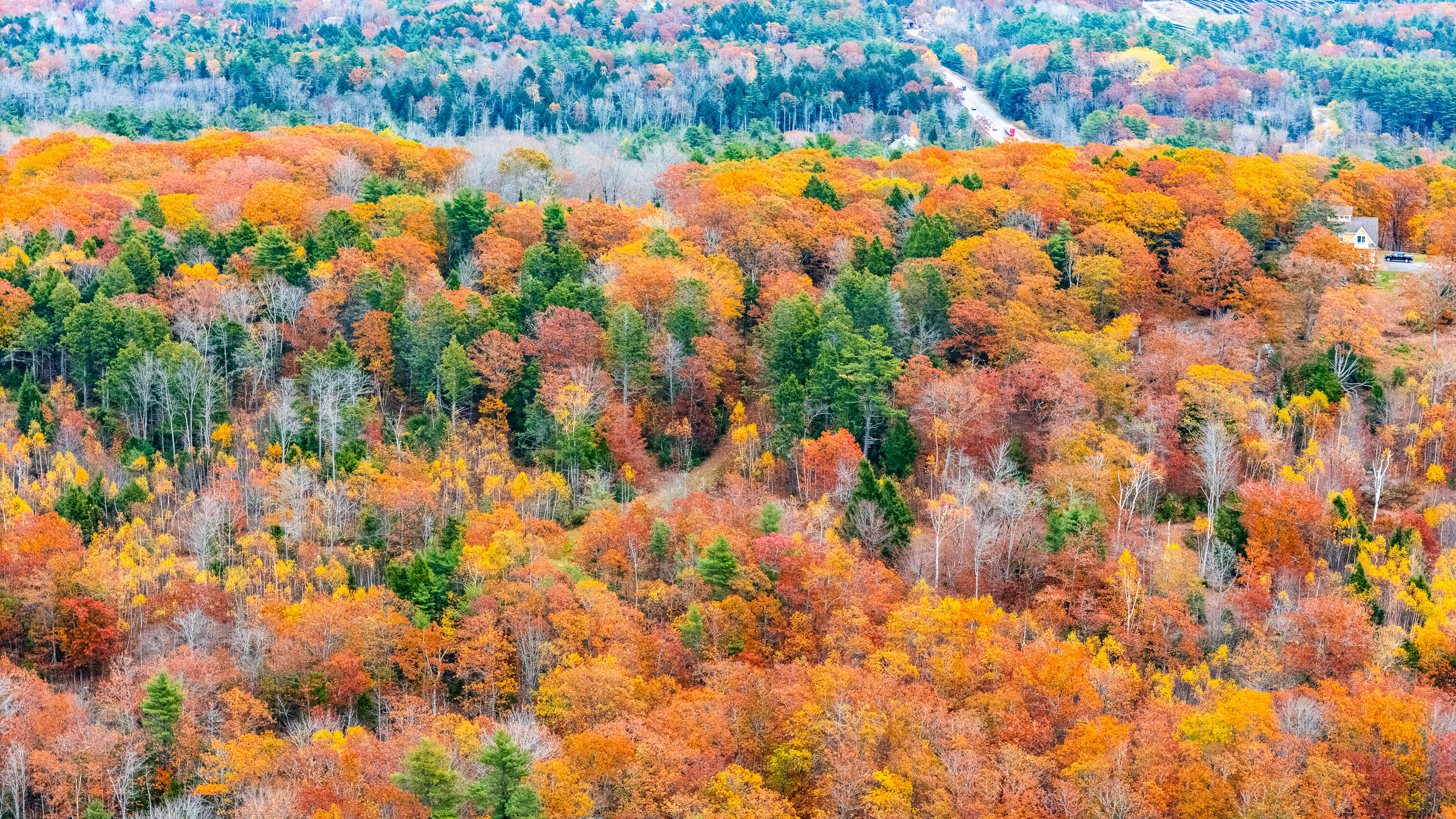 Lot#4 Bay View Trail Edgecomb, ME 04556 - Photo 39 of 48 Bay View Trail Edgecomb 039