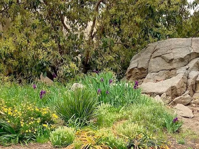 18821 Los Hermanos Ranch Road Valley Center, CA 92082 - Photo 11 of 34 Gallery Image 11