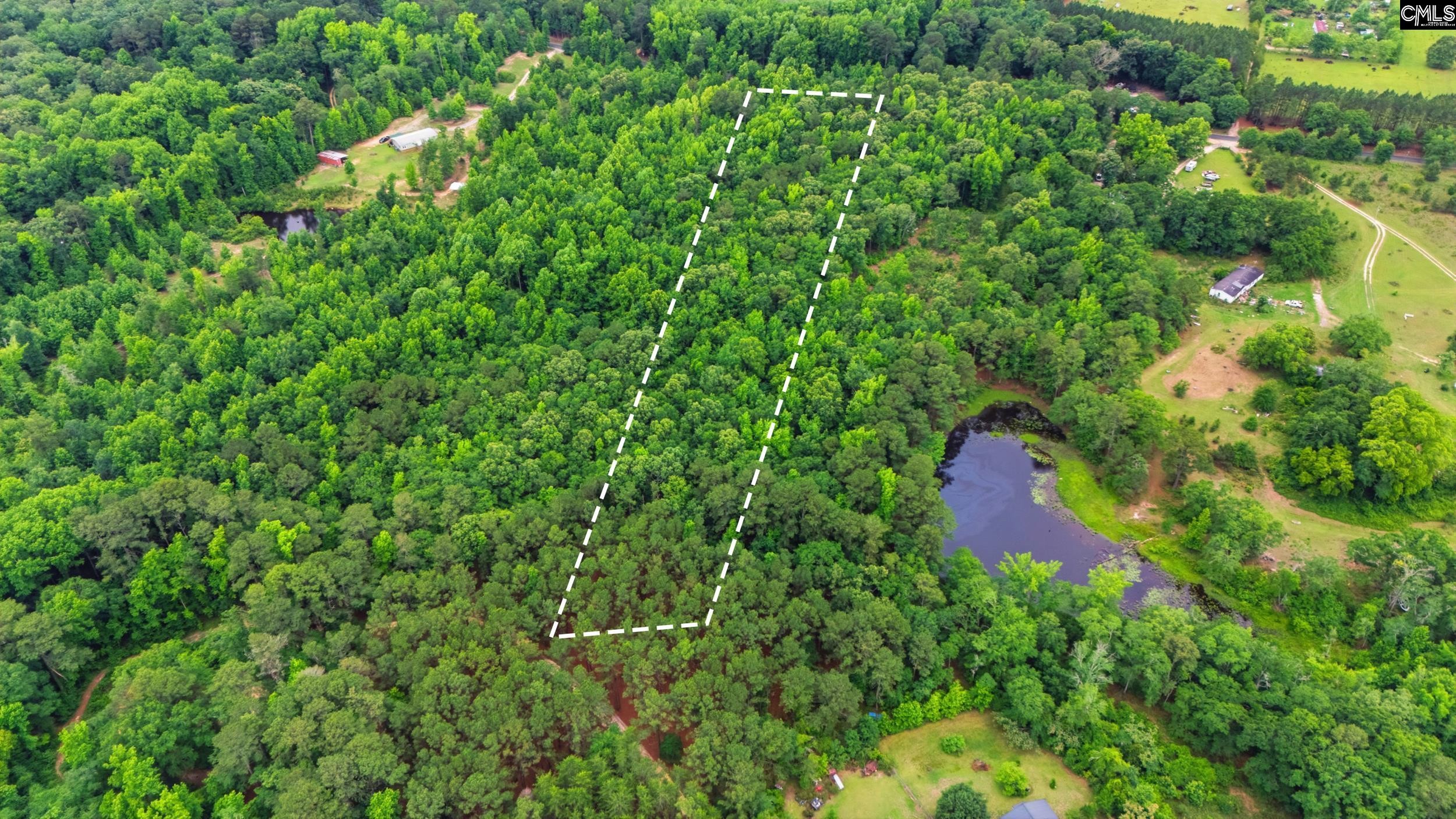 Tbd Basil Road Swansea, SC 29160 - Photo 12 of 19