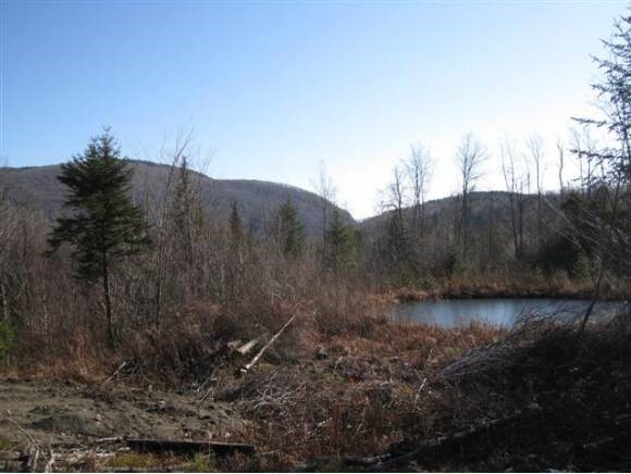 157 4 Wheel Dr Road Morgan, VT 05853 - Photo 18 of 22 Gallery Image 18