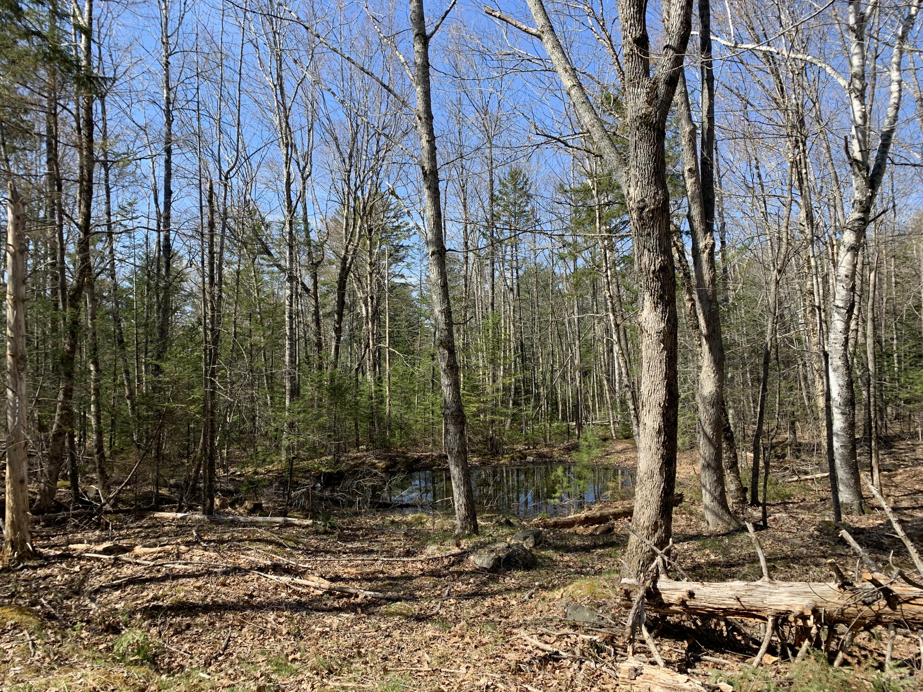 658 Bucksmills Road Bucksport, ME 04416 - Photo 8 of 13 IMG_1189