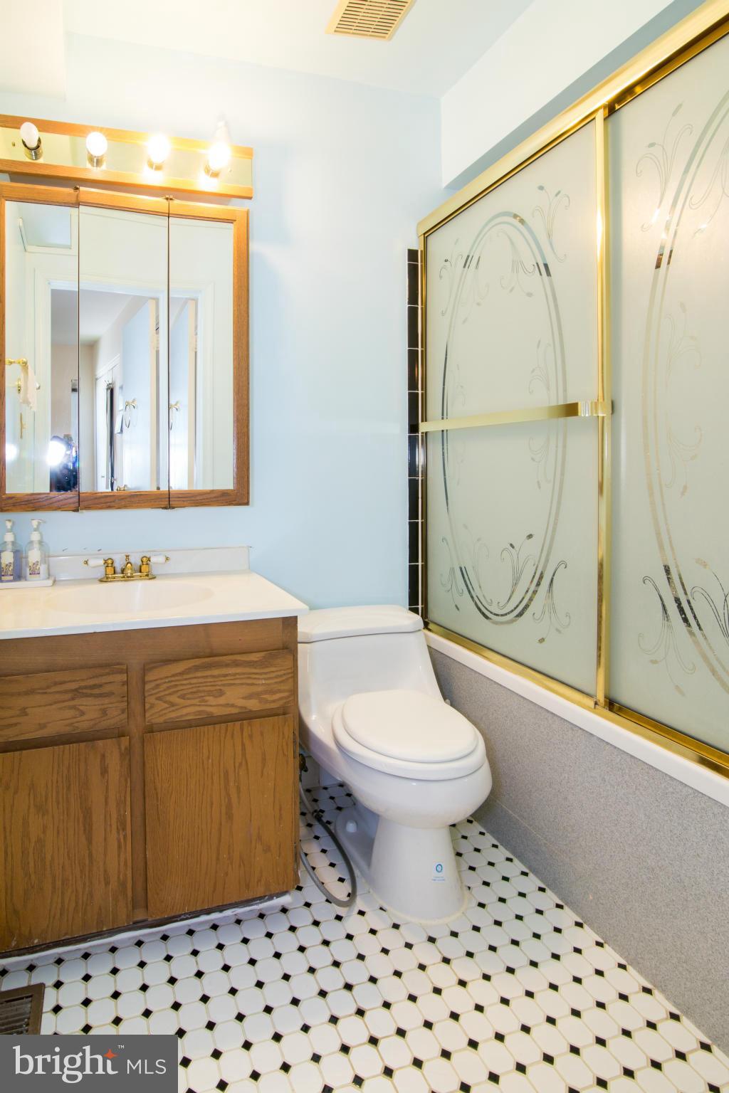 716 Ritchie Avenue Silver Spring, MD 20910 - Photo 19 of 22 Master bath with Jacuzzi tub