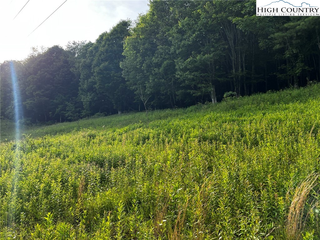 East Ridge Drive Vilas, NC 28692 - Photo 2 of 26 Gallery Image 2