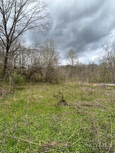 619 Felicity Cedron Rural Road Felicity, OH 45120 - Photo 13 of 15