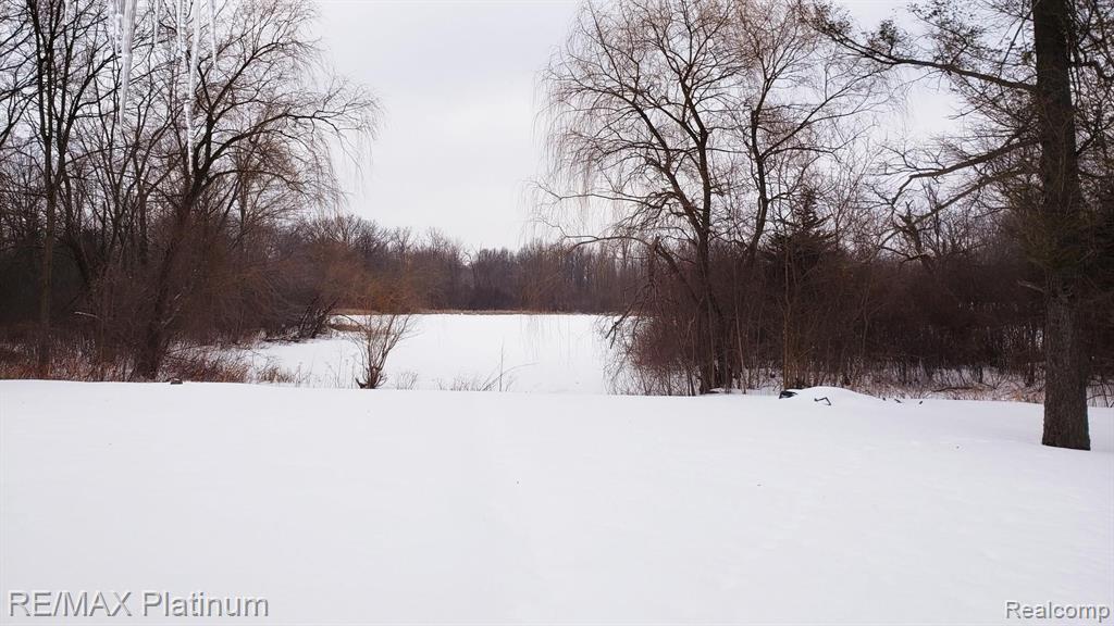 1315 Euler Road Brighton, MI 48114 - Photo 4 of 38
