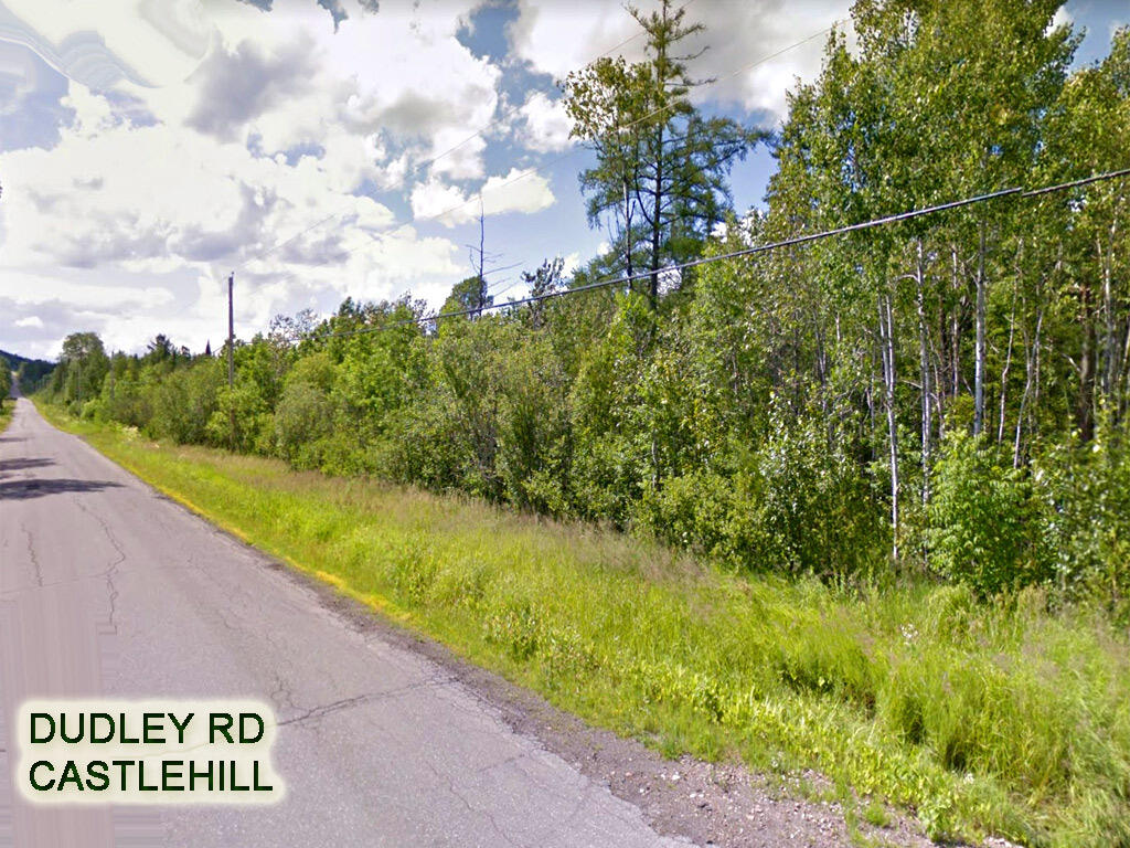 Lot 8 Dudley Road Mapleton, ME 04757 - Photo 1 of 26 road-scene-castlehill-me-la