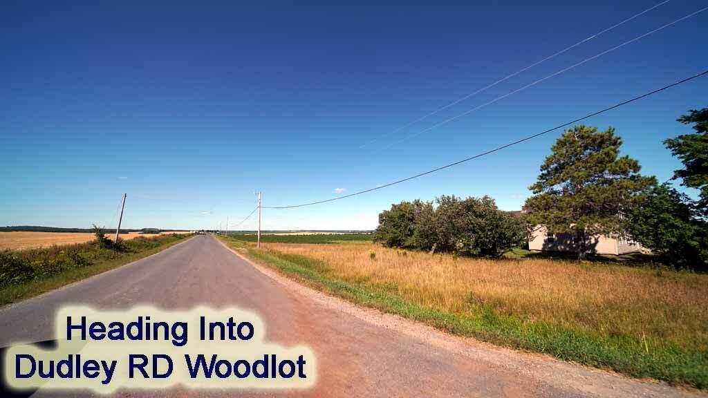 Lot 8 Dudley Road Mapleton, ME 04757 - Photo 14 of 26 castle-hill-me-land-02